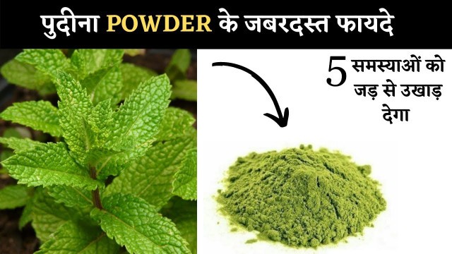 'पुदीना पाउडर के फायदे | Benefits Of Mint Leaves Powder | Health Fitness Tips In Hindi | The Jalebi'