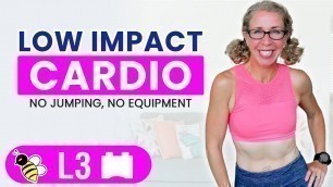 'LOW IMPACT Cardio Confidence, 15 Minute HIIT Workout 